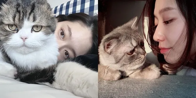 Potret Bumil Cantik Park Shin Hye Santai di Rumah di Masa Kehamilan, Asyik Rebahan Ditemani Kucing Peliharaan