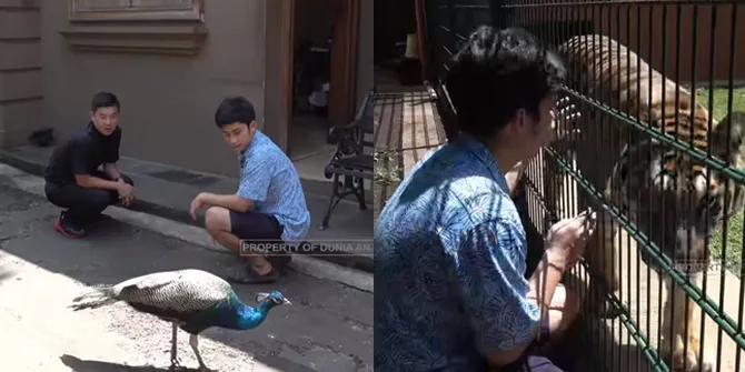 Punya Kebun Binatang Pribadi, Ini 9 Hewan Liar Milik Alshad Ahmad  Yang Satu Ekornya Seharga Sampai Ratusan Juta