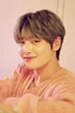 I.N Stray Kids