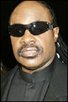 Stevie Wonder