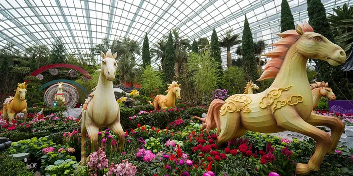 Waktunya Foto-Foto Cantik! Spring Blossoms Kembali Hadir di Flower Dome Garden By The Bay