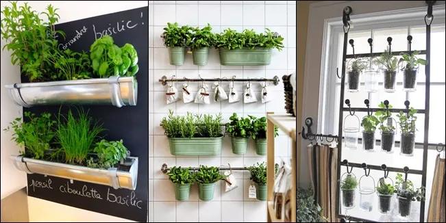 10 Ide Go Green Menanam Bu Dapur Di Dalam Rumah Vemale 10 Ide Go Green Menanam Bu Dapur Di Dalam Rumah