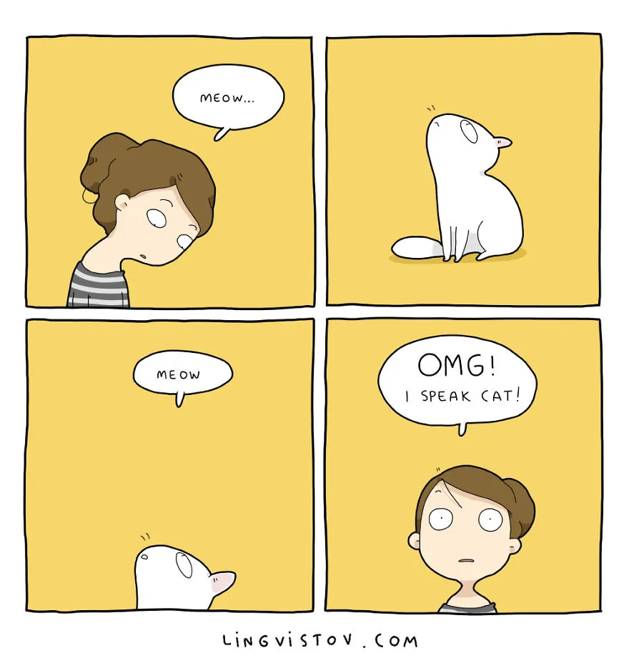 Bener Banget Begini Keseharian Cewek Jika Hidup Dengan Kucing Bener Banget Begini Keseharian Cewek Jika Hidup Dengan Kucing