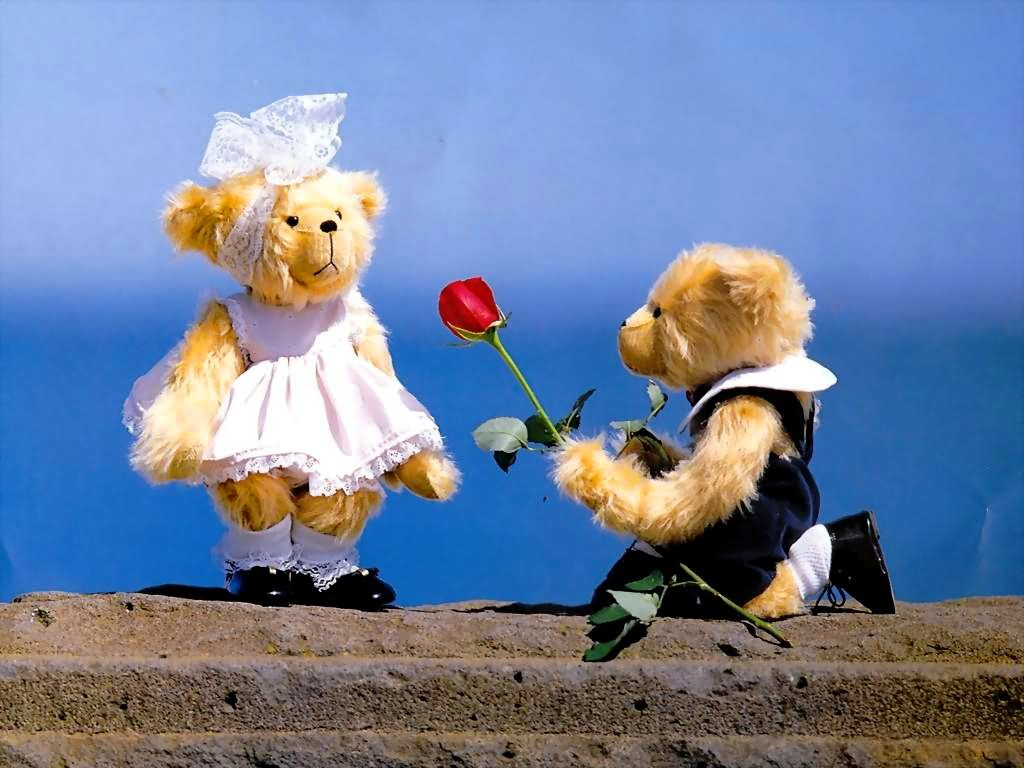 Boneka Couple Teddy Bear Bisa Romantis Anda Pasti Iri Dengan Mereka