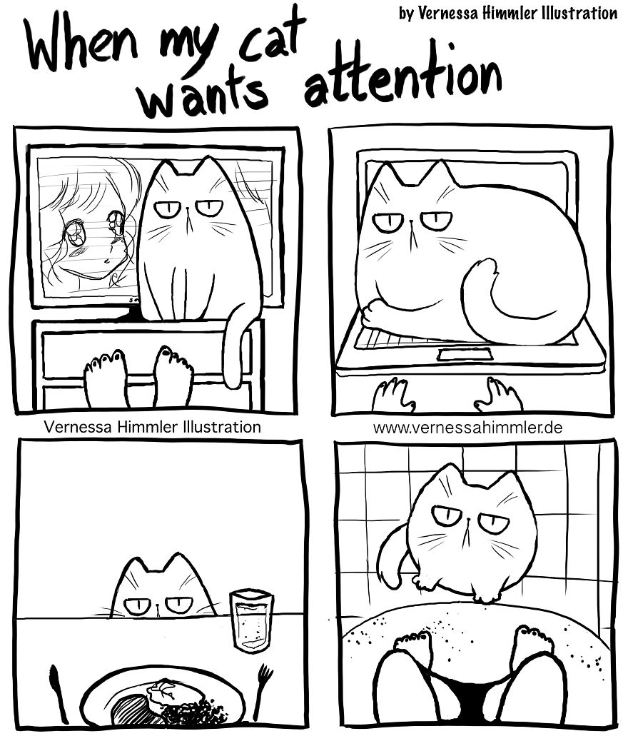 Koleksi Komik Kucing Lucu - Dunia Meme