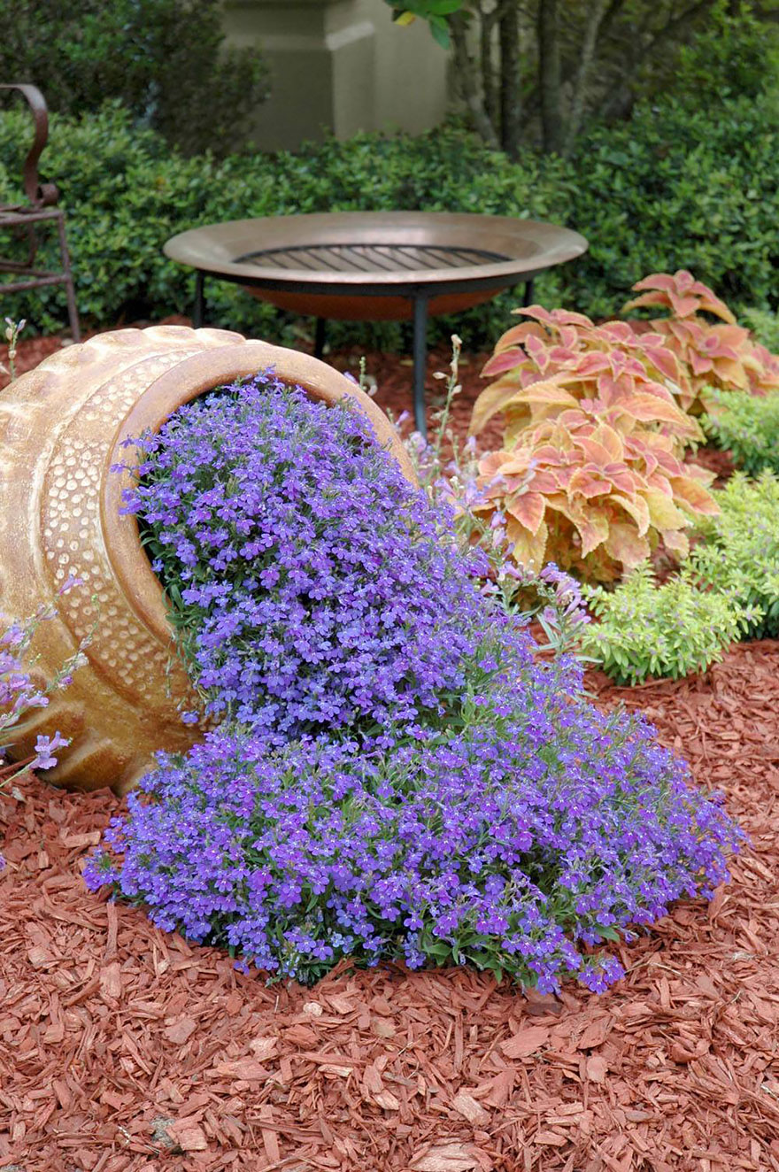 Pot Bunga Tumpah Inspirasi Desain Taman Rumah Cantik Dan Asri