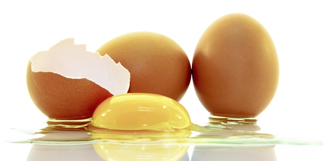 Hasil gambar untuk fakta tentang telur