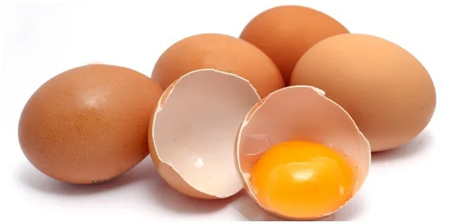 Image result for telur