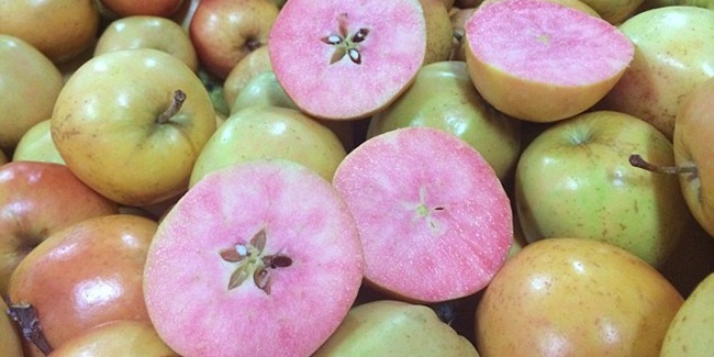 Gambar Buah Apel Warna Pink #1