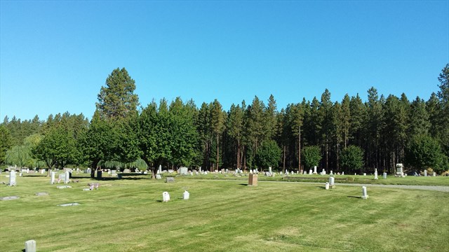 Laurel Hill Memorial Park, tempat yang dipilih untuk melangsungkan pernikahan.