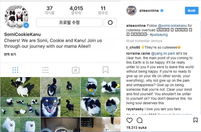 Seorang fans curhat di akun Instagram Ailee./Copyright instagram.com/aileeonline