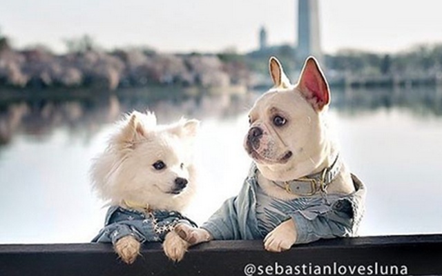 Luna dan Sebastian | Photo: Copyright instagram.com/sebastianlovesluna