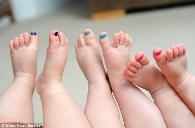 Kuku kaki mereka dicat dengan warna berbeda untuk membedakan satu sama lainnya.
