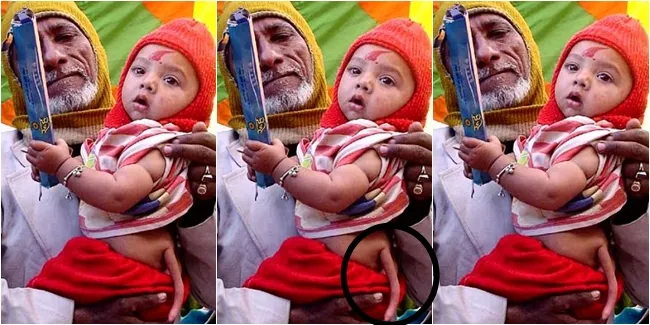 Image result for keajaiban bayi berekor