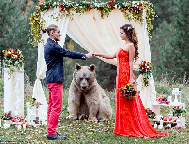 Pasangan Denis dan Neyla mendatangkan beruang di pesta pernikahan mereka | Photo: Copyright dailymail.co.uk