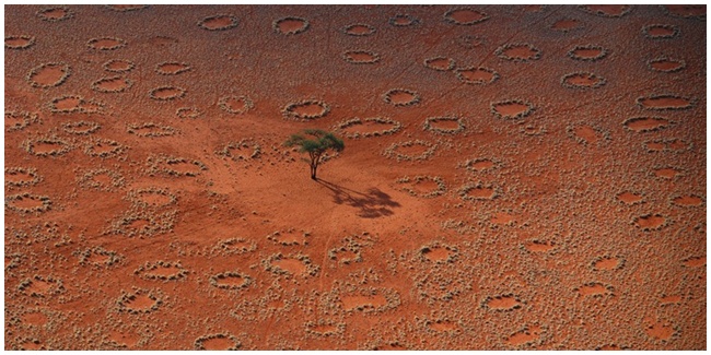 Fairy Circles Jika Dilihat Dari Atas (c) AmusingPlanet.com