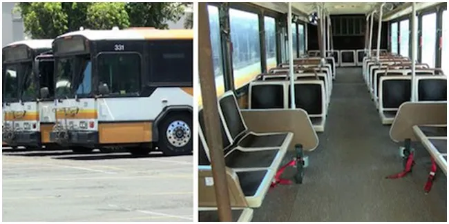 Foto: copyright elitedaily.com