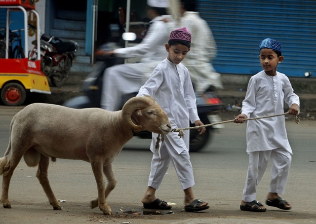 Menyembelih hewan kurban saat Idul Adha pahalanya sangat besar/copyright http://whatsapphubstatus.com