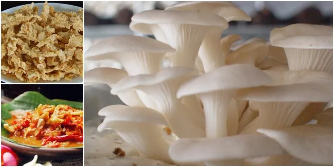 Foto dari Berbagai Sumber