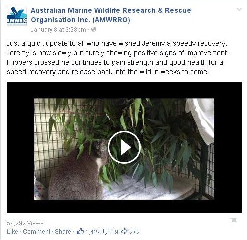 Video Jeremy yang Diunggah dalam Laman Facebook. | Foto: copyright Huffingtonpost.com