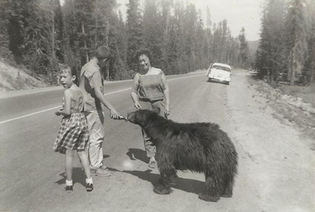 Sebuah keluarga yang sedang bermain bersama beruang liar/copyright boredpanda.com