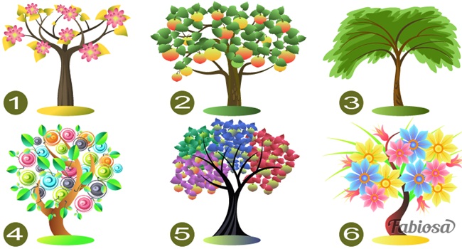 Pilih pohon mana yang paling kamu suka/copyright themindsjournal.com