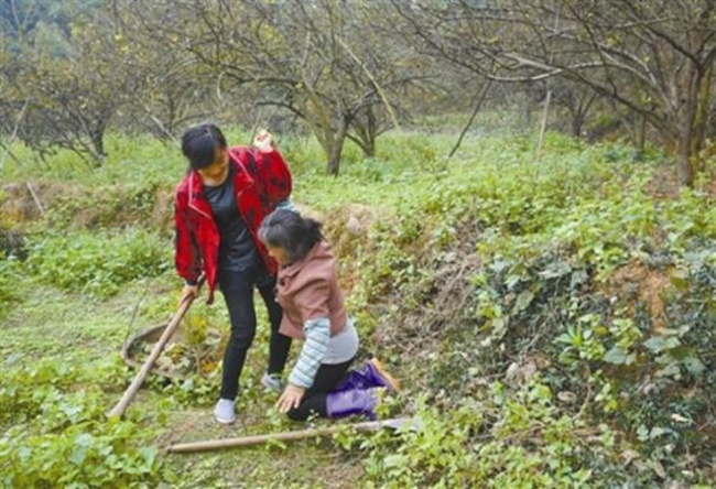 Liao dan ibu Jiang mencari obat untuk Jiang di gunung | Photo: Copyright stomp.com.sg