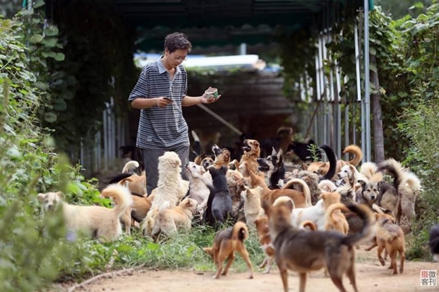 Zhuo adalah pria yang begitu peduli dengan hewan di sekitarnya/copyright odditycentral.com/Xwtuotiao