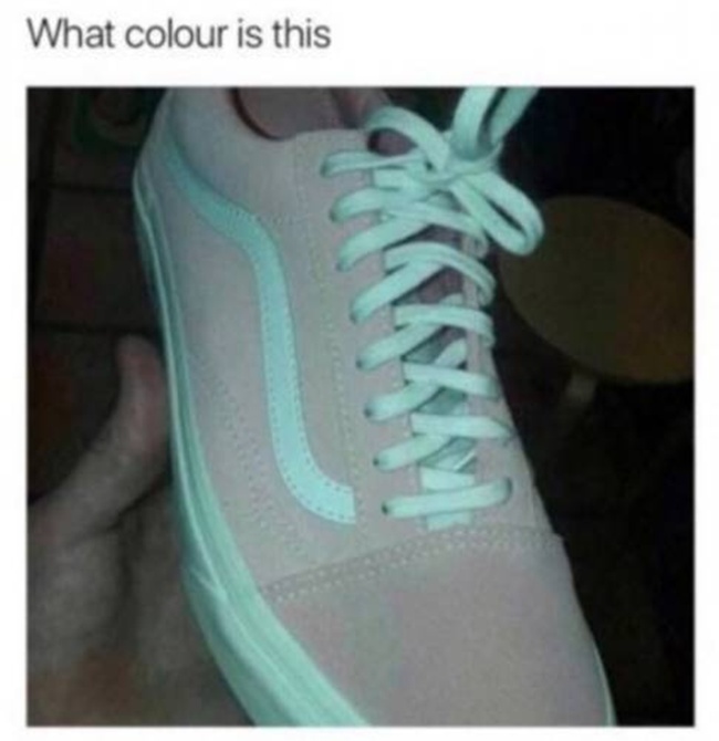 Warna apa sepatu ini?/copyright viral4real.com