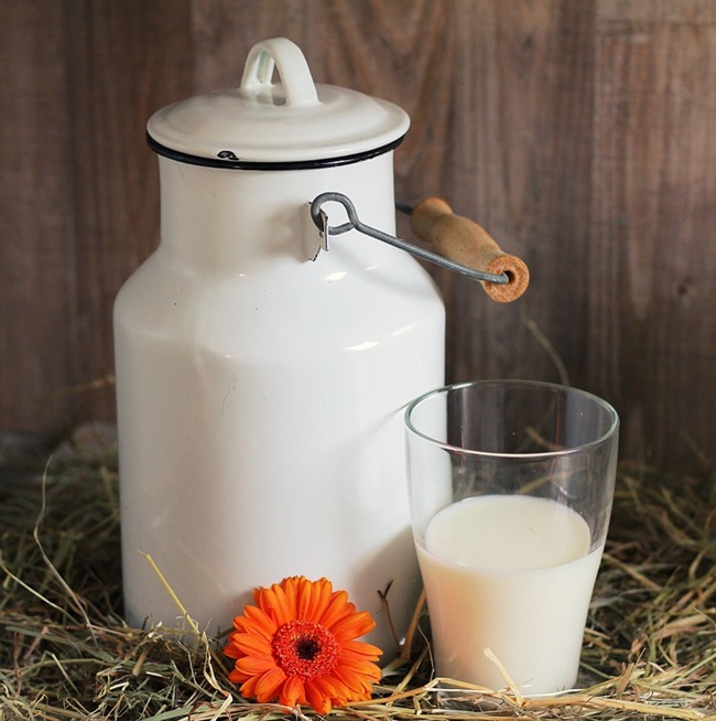 Susu adalah sumber nutrisi yang baik buat kesehatan/copyright pixabay.com