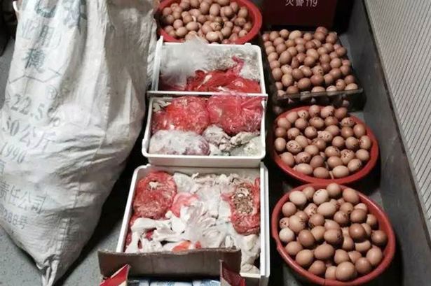 Tak hanya telur, polisi juga menemukan barang lain yang juga hasil curian Gu | Photo: Copyright metro.co.uk