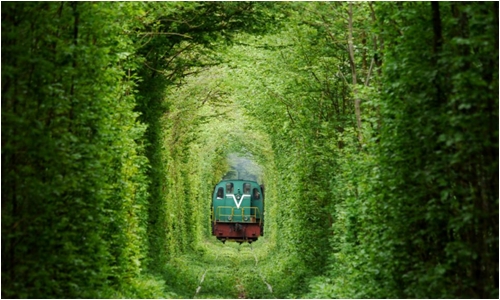 Tunnel of Love (c) DailyMail.co.uk