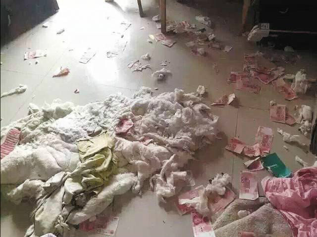 Uang rahasia suami hancur digigit anjing peliharaan | Photo: Copyright shanghaiist.com 